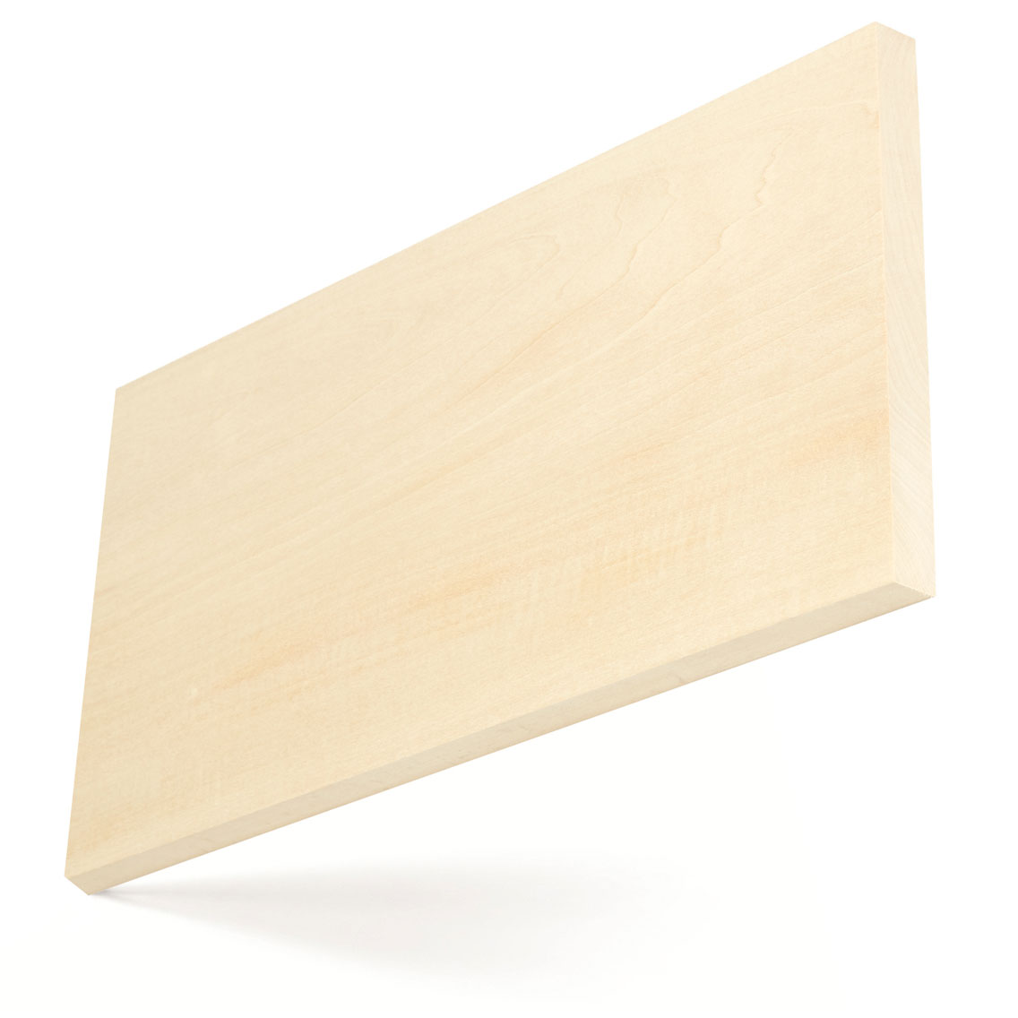American_basswood_big