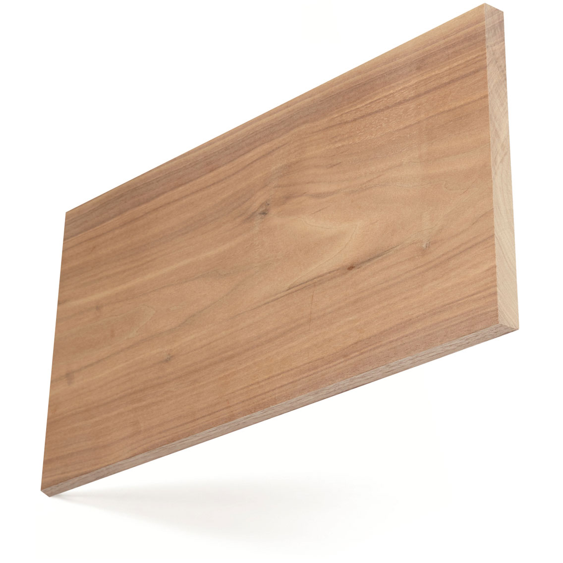 American_walnut_big