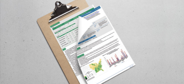 American Hardwood Environmental Profile